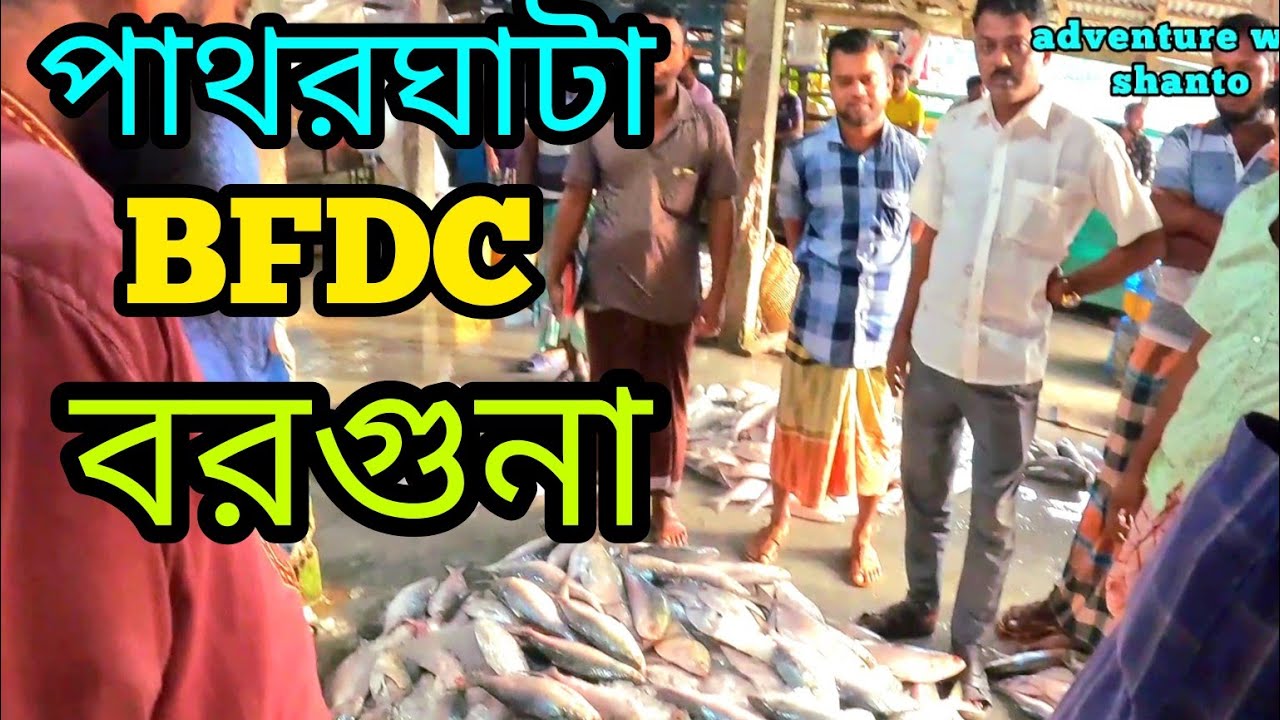 পাথরঘাটার ইলিশ | BFDC পাথরঘাটা | বাংলাদেশের অন্যতম মৎস্য অবতরন কেন্দ্র | Fishing Video.