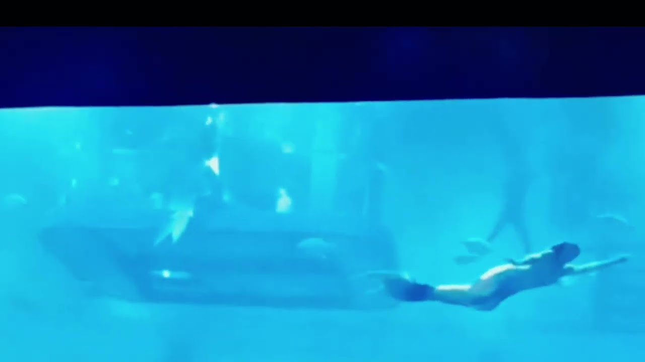 The Dubai Mall Aquarium / Mermaid in the Aquarium
