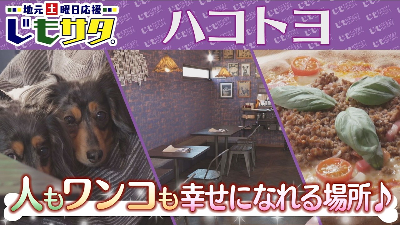 じもサタ。特集「ハコトヨ」（豊田市元宮町）