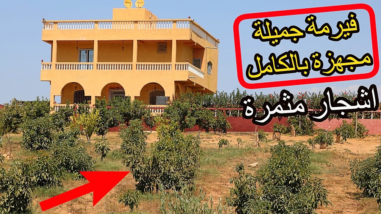 ✨فيرمة مجهزة بمنزل جميل ومغروسة بالكامل محفظة ✨ بين تيفلت والرباط