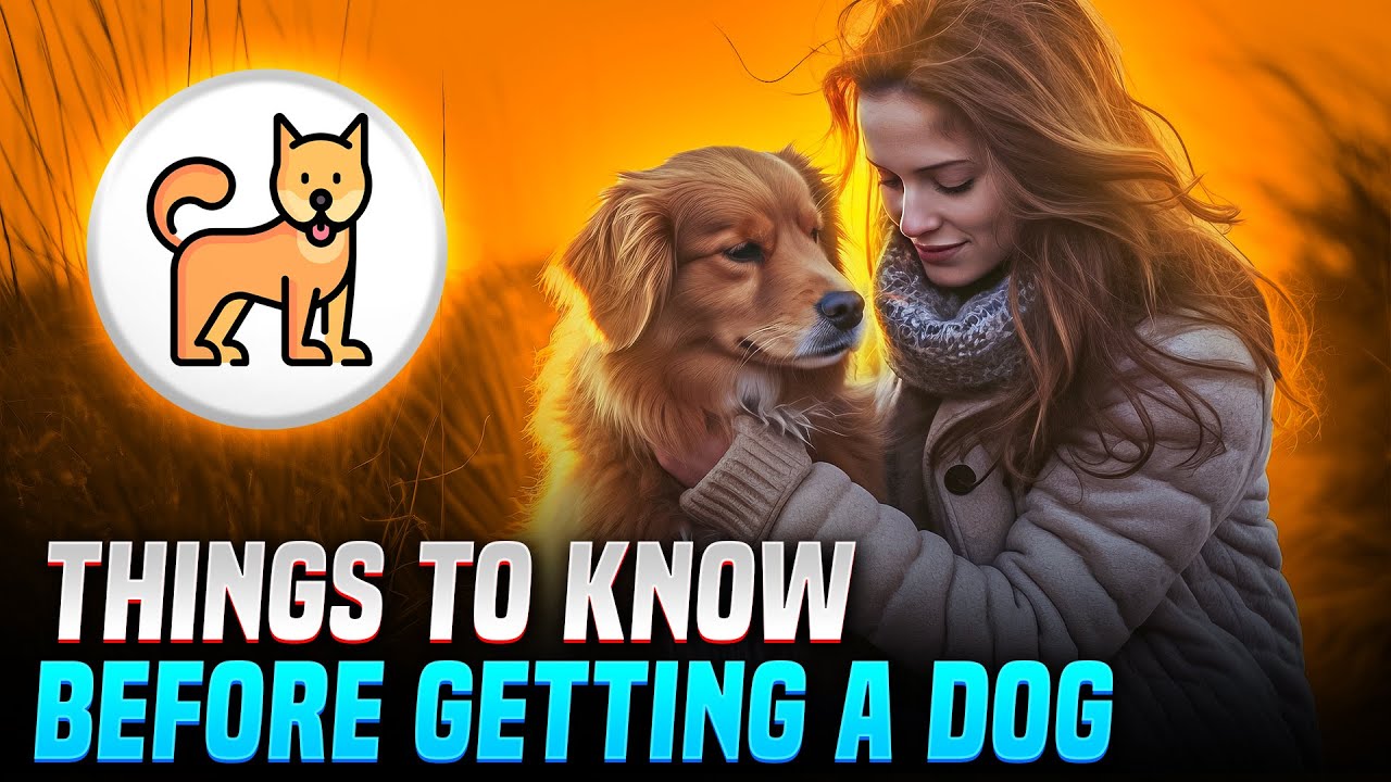 Essential Tips for New Dog Owners | What to Know Before Getting a Dog