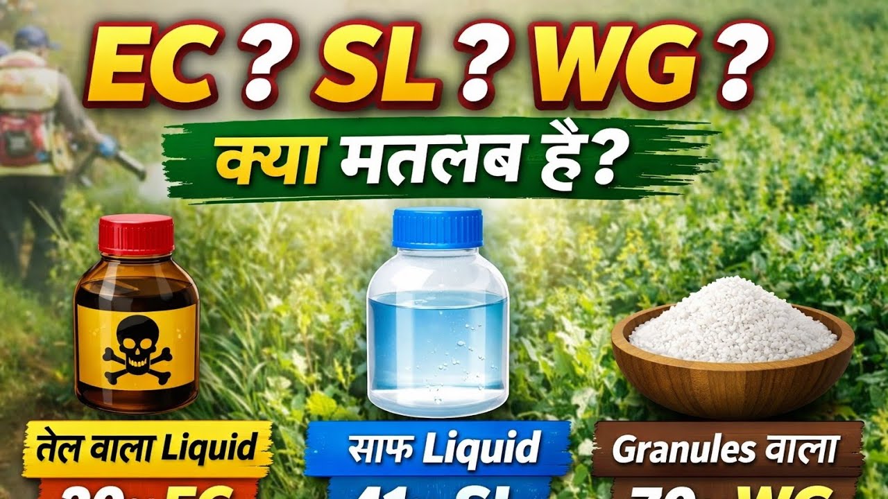 कीटनाशक की बोतल पर EC, SL, WG का मतलब क्या होता है? | पूरी जानकारी हिंदी में