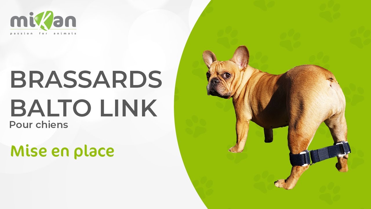 Comment fonctionnent les brassards Balto Link® ?