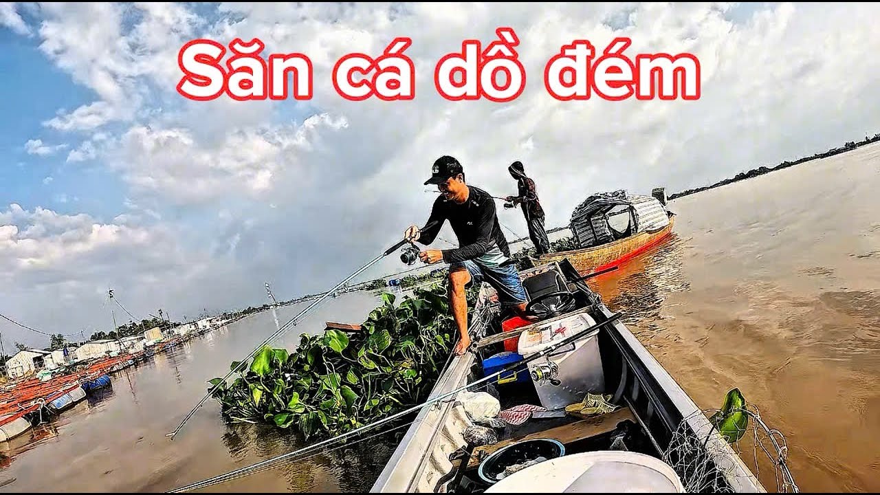 Câu cá dồ đém ( điểm câu An Hiệp, Đồng Tháp) -Tập 83