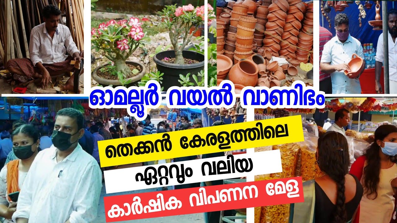 ഓമല്ലൂർ വയൽ വാണിഭം ❤️❤️❤️| കേരളത്തിലെ ഏറ്റവും വലിയ കാർഷിക വിപണന മേള | Omalloor Vayal Vanibham 2022