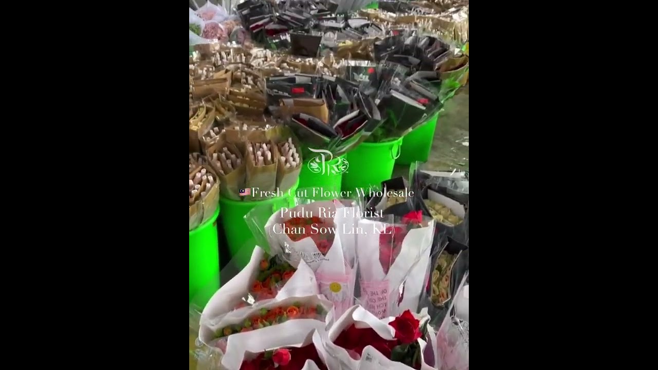 Fresh cut flower wholesale in Chan Sow Lin,Kuala Lumpur