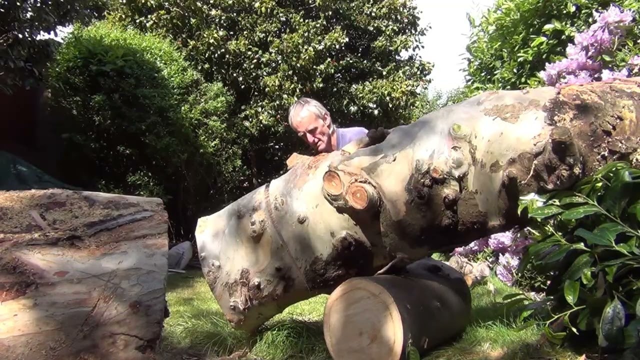 Old School Tree Removal