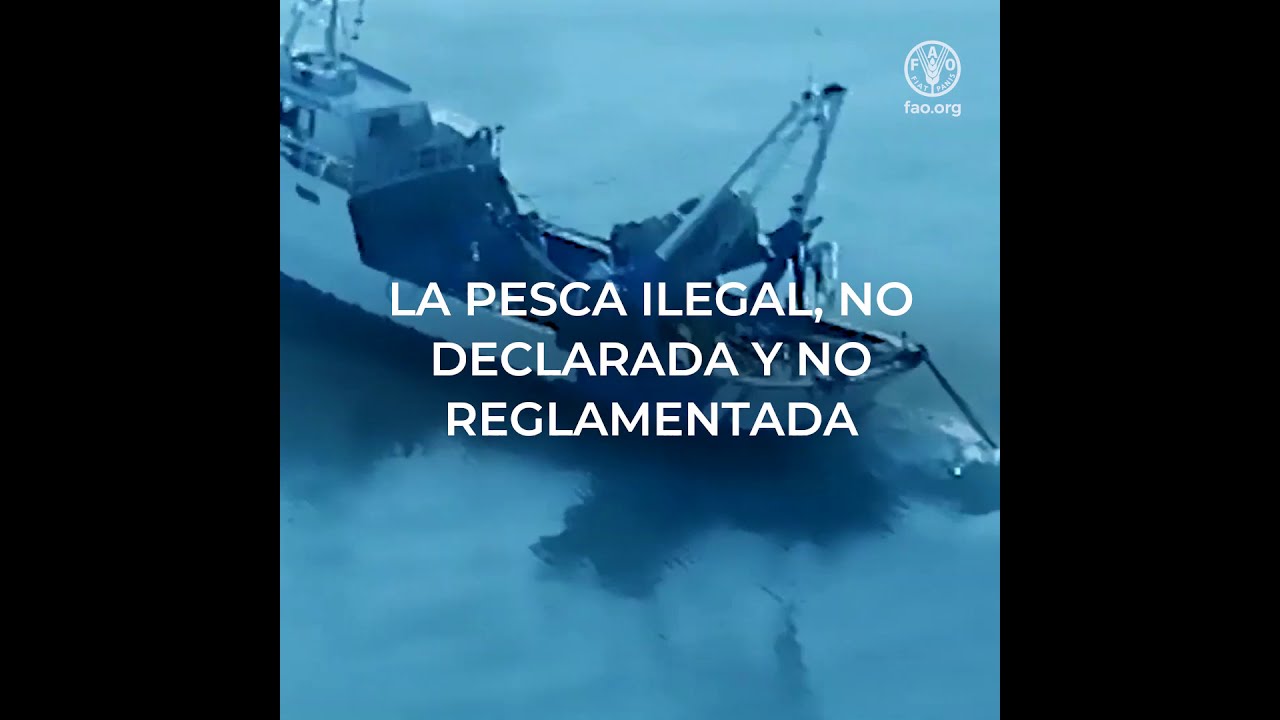25 a&ntilde;os del C&oacute;digo de Conducta para la Pesca Responsable de la FAO