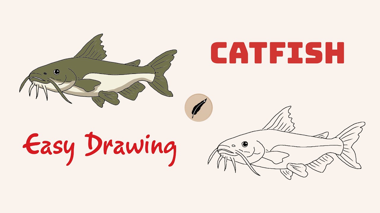 How to Draw a CATFISH! 🐱🐟  Easy Step by Step Fish Drawing for Kids & Beginners #lidoartworks