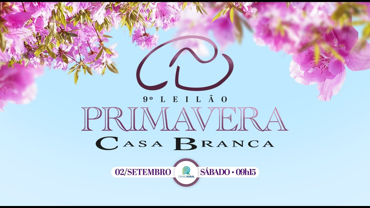 Lote 238 (CABR Mr Arytom 3240/4 - CABR 3240)