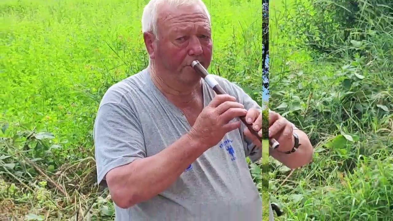 Lăutarii din Halovo