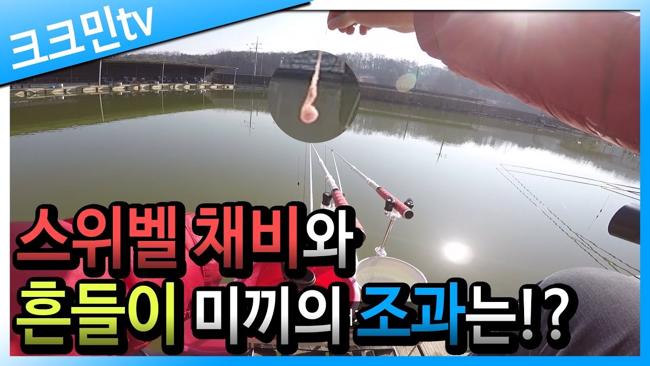 스위벨 채비 붕어낚시(주성낚시터)