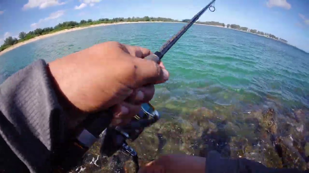 Slow Pitch Jigging Richards bay( the fish were wild)