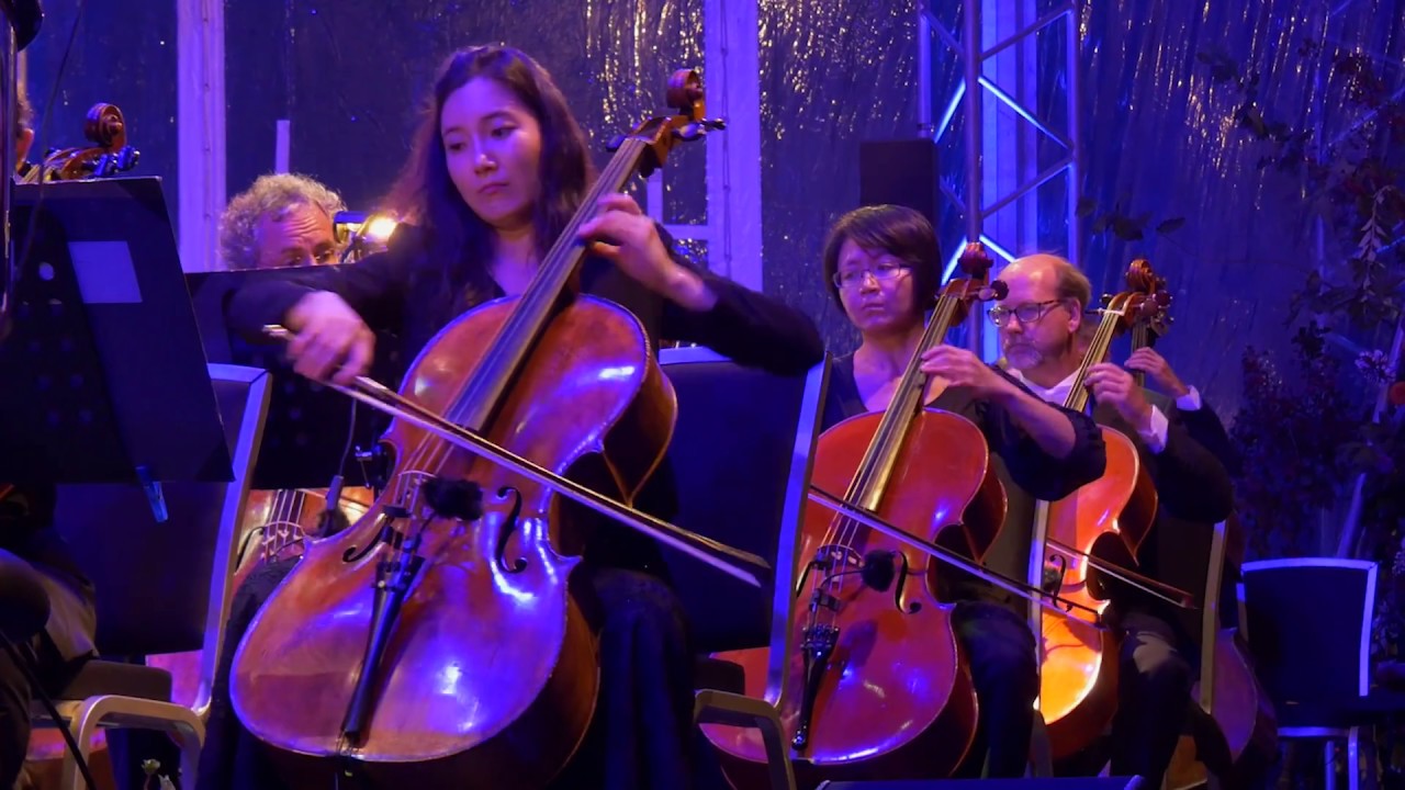 OVG Veerhavenconcert 2017   Sfeerimpressie