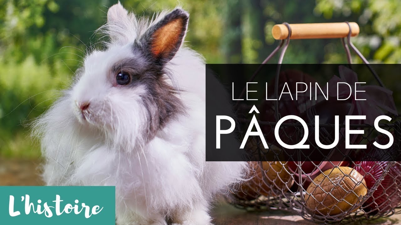 L'histoire du lapin de Pâques - L'Overview