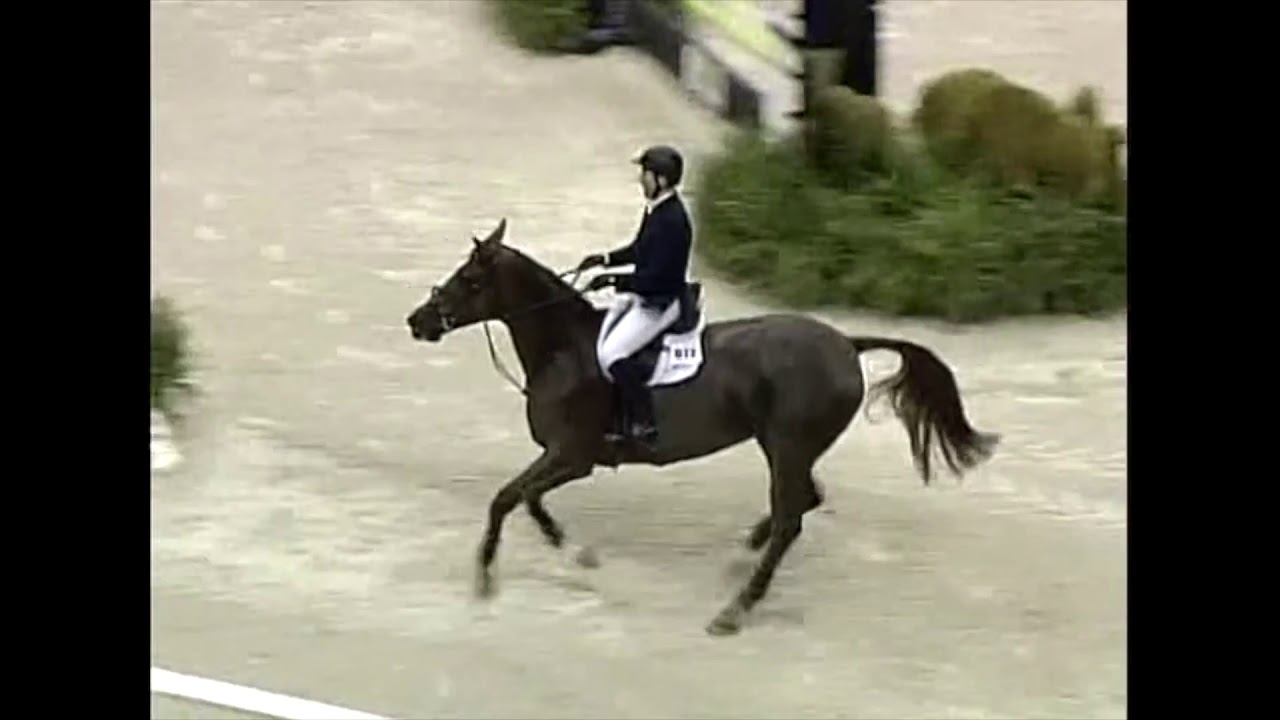 WIHS Top 10 Jump Offs McLain Ward & Sapphire