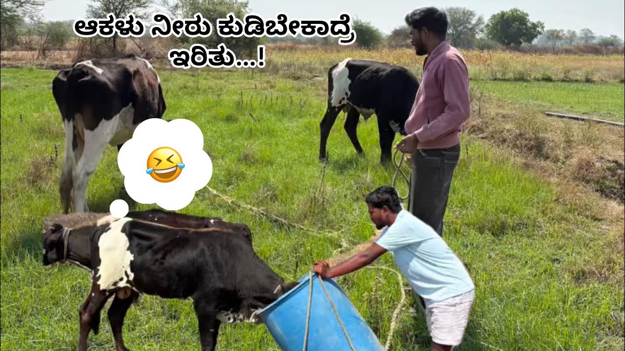 ನಮ್ಮ ಅಣ್ಣನ ಜೊತೆ ಹೊಲಕ್ಕೆ ಹೋಗಿ ಏನ್ ಆಯ್ತು ಗೊತ್ತ?🤦‍♂️   #reels #comedy #indianholiday #explorepage #fyp 