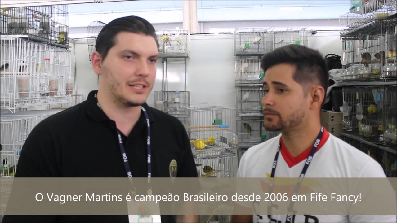 Apresentando o Criador Vagner Martins!