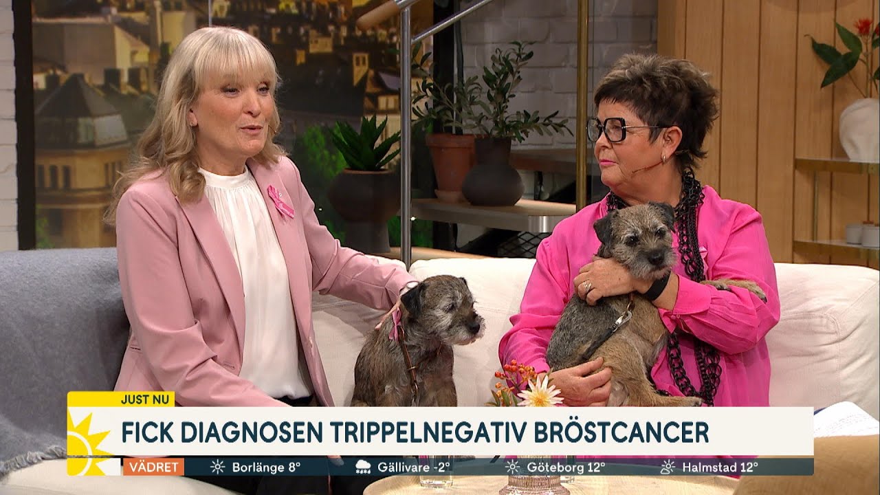 Fick diagnosen trippelnegativ bröstcancer: ”Blev skräckslagen” | Nyhetsmorgon | TV4 & TV4 Play