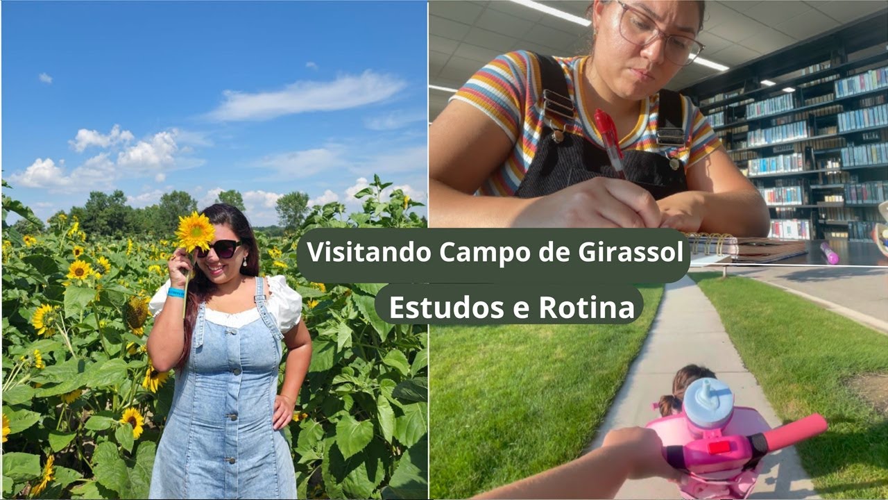 CAMPO DE GIRASSOL 🌻 Estudos e Rotina Aupair | #intercambio  #aupairlife #aupair 