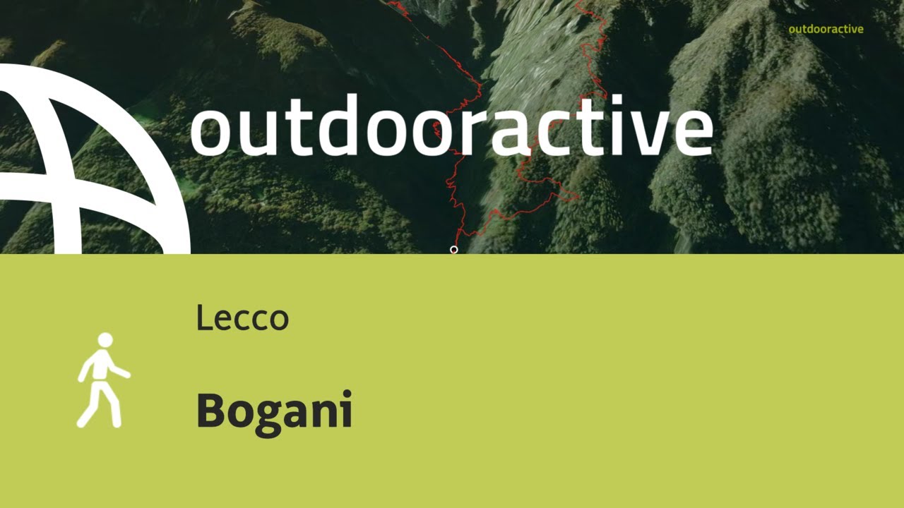 Bogani