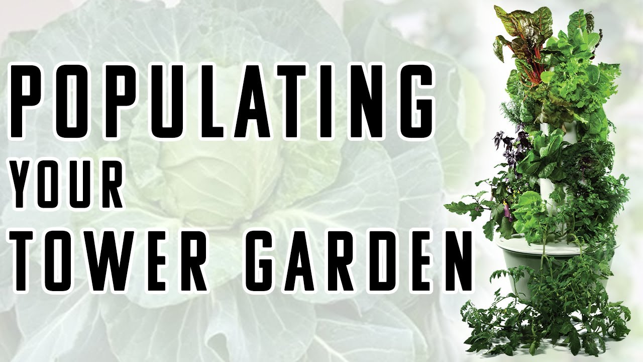 HOW TO OPTIMIZE YOUR TOWER GARDEN | What Plants Should Go Where?