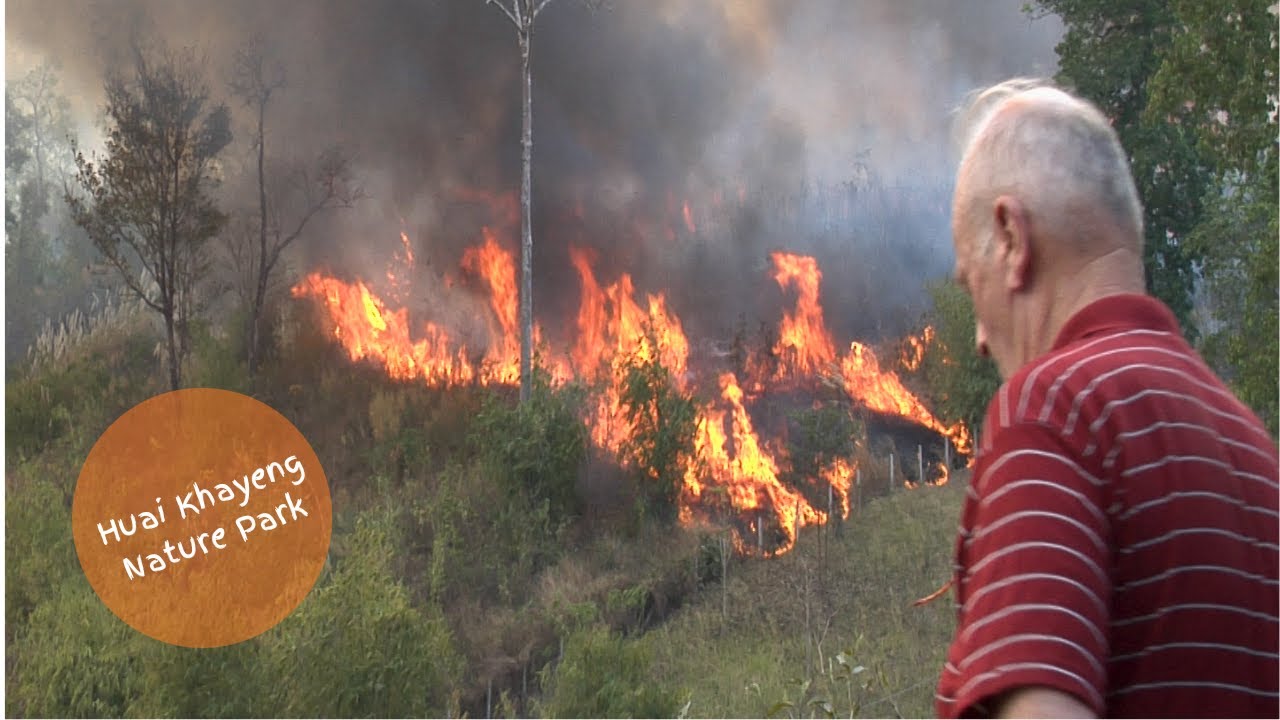 Huai Khayeng Nature Park rose out of the Ashes