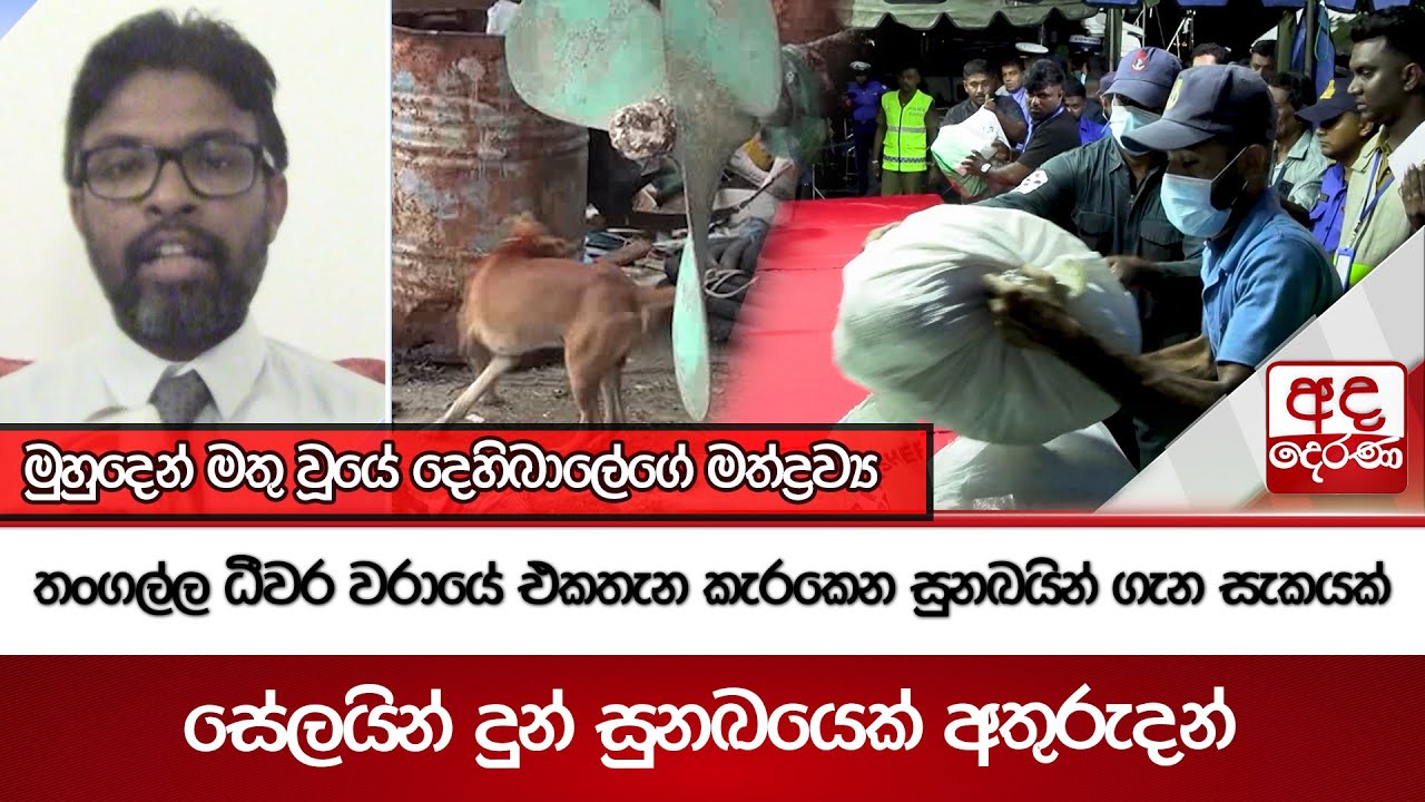තංගල්ල ධීවර වරායේ එකතැන කැරකෙන සුනඛයින් ගැන සැකයක්