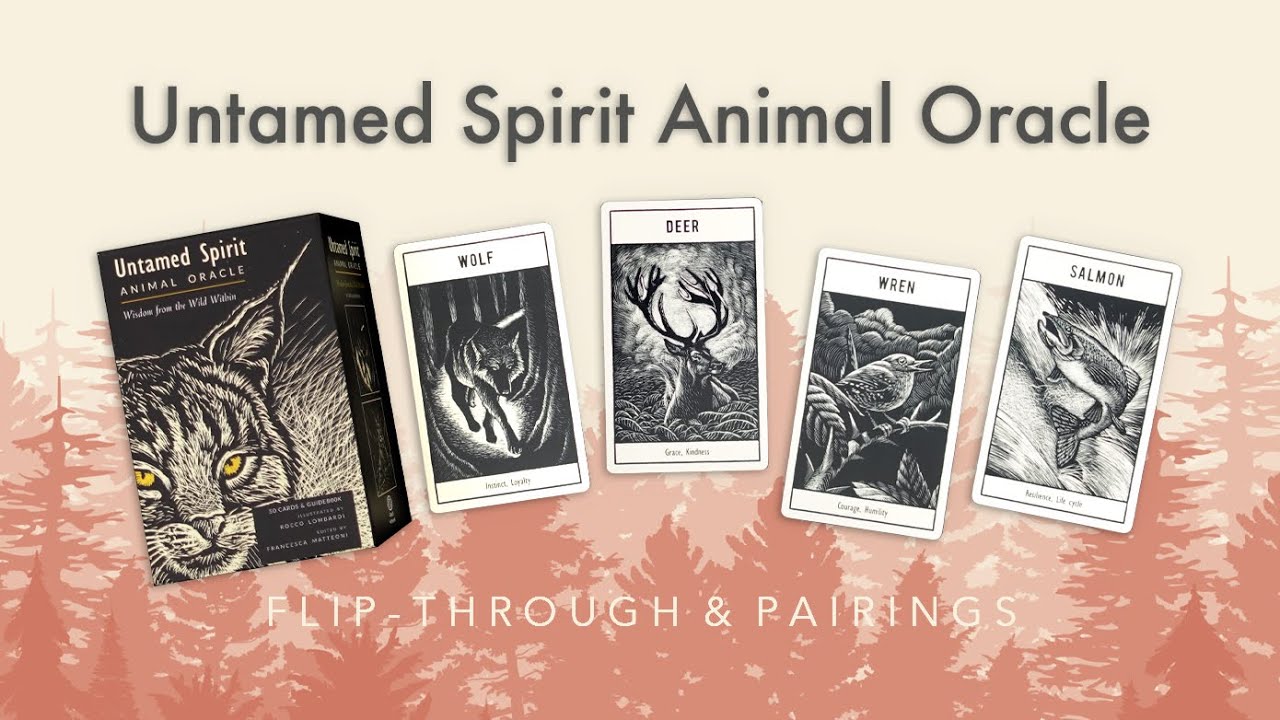 The Untamed Spirit Animal Oracle 🐘 No-Voice Flip Through & Pairing Ideas🤍🖤