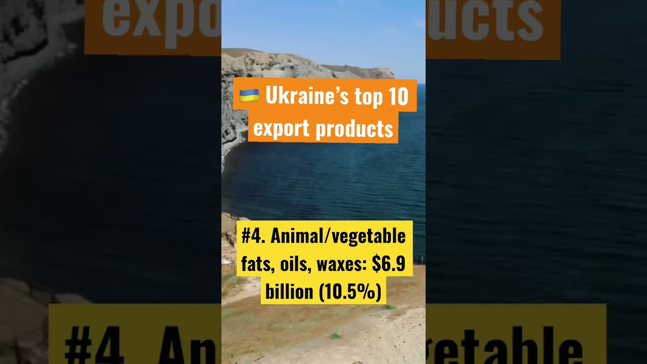 Ukraine&rsquo;s top 10 export products #shorts #ukraine #export