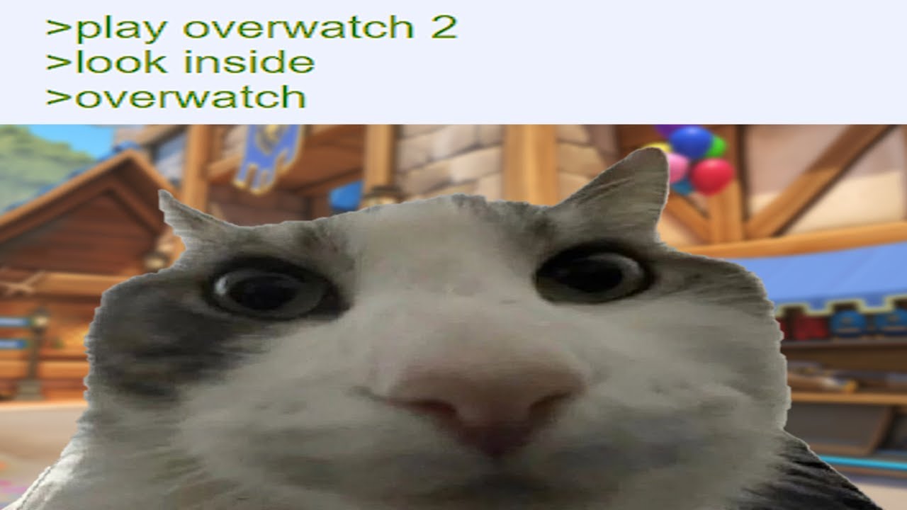overwatch but it's all silly