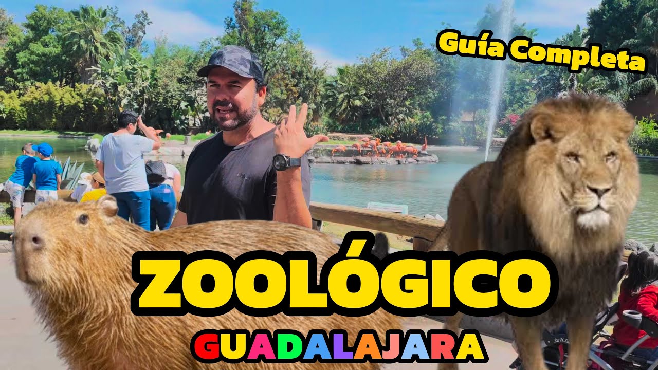 Así es el ZOOLÓGICO de GUADALAJARA 2024 Guía Completa Precios y mas