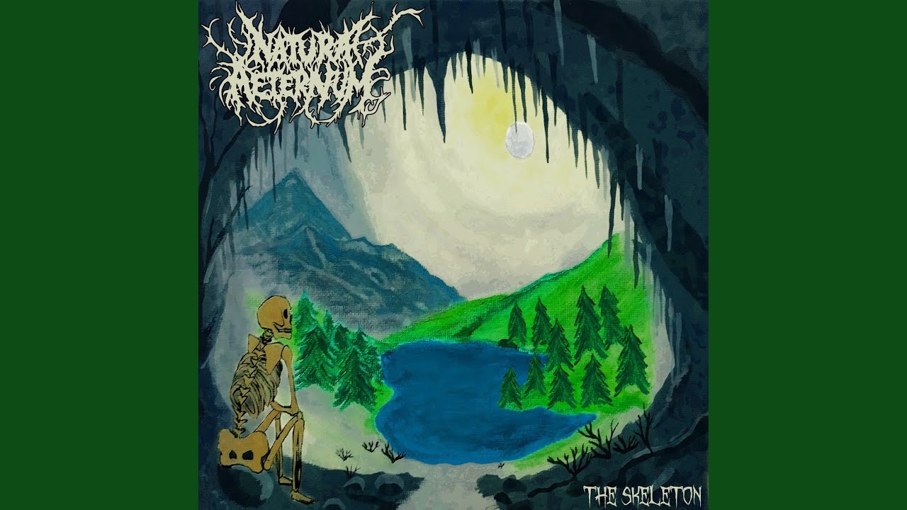 The Skeleton