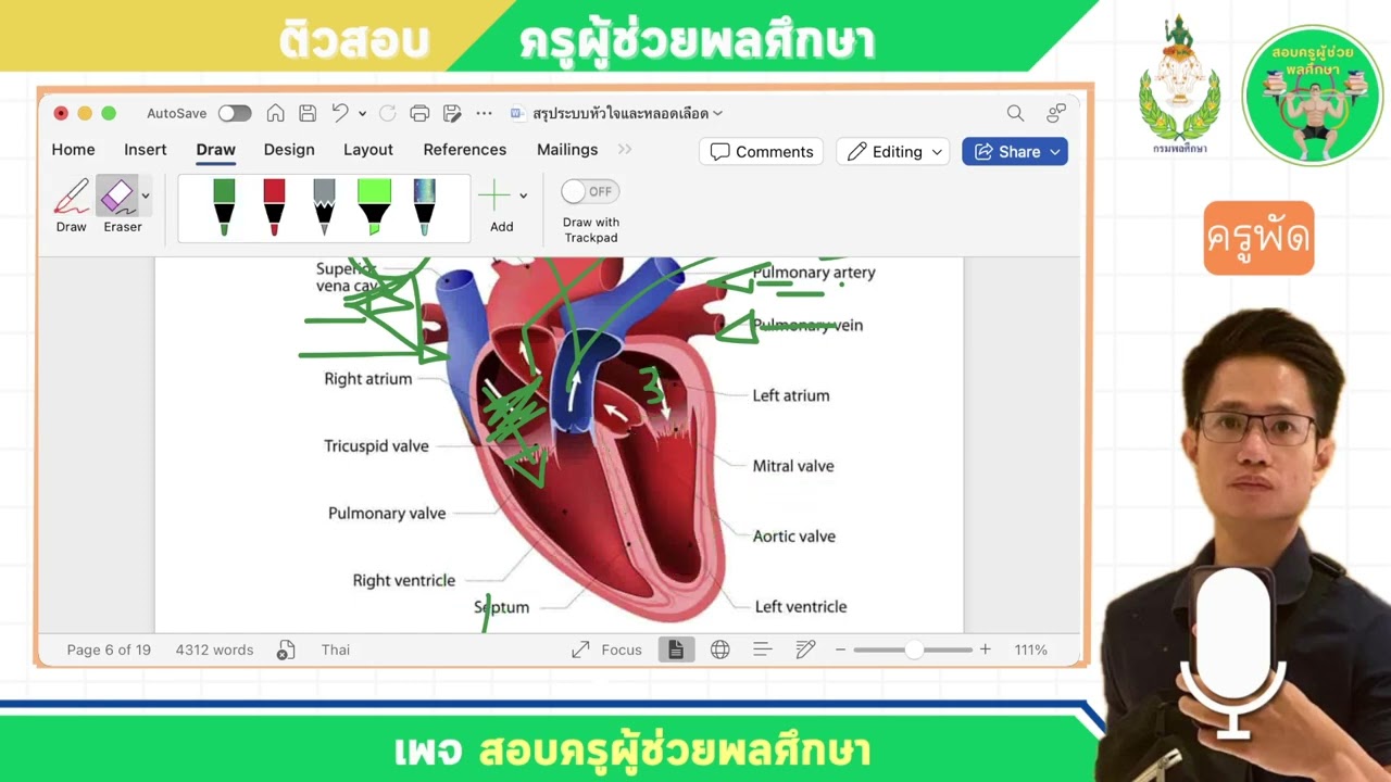EP 11 ระบบไหลเวียนโลหิต + หัวใจ