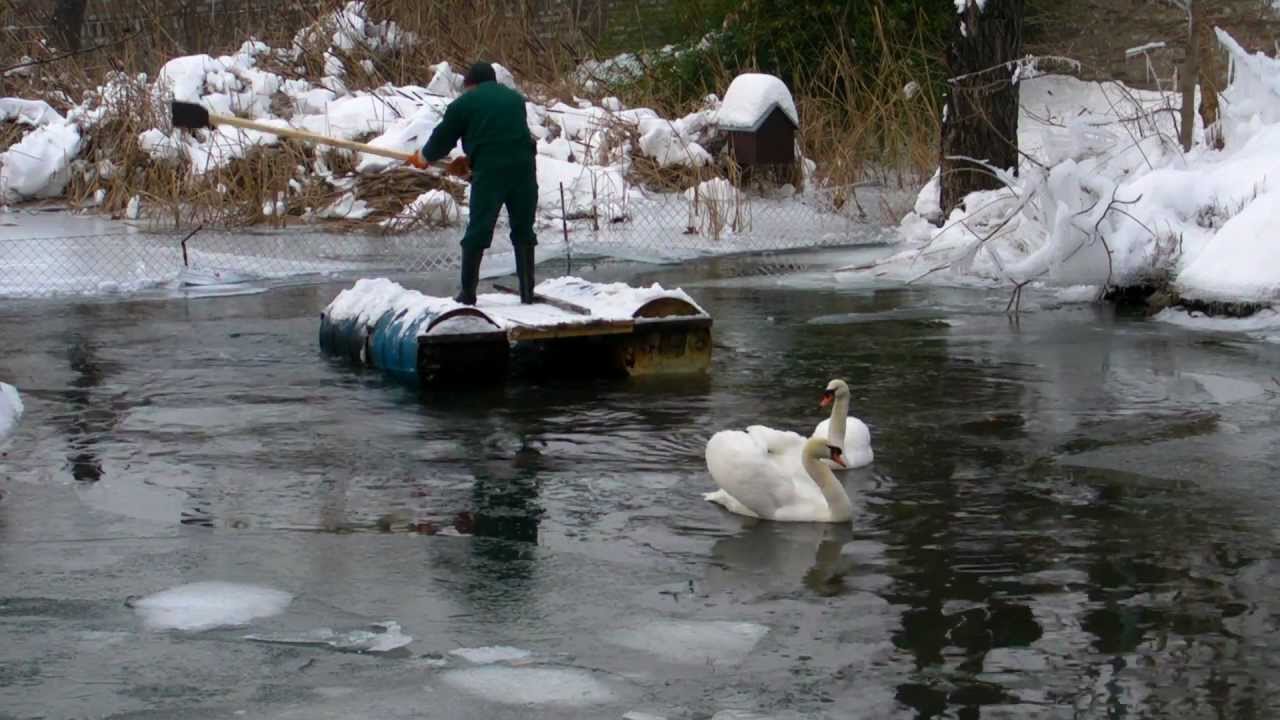 Sneg u vrtu - ZR - Beo Zoo Vrt