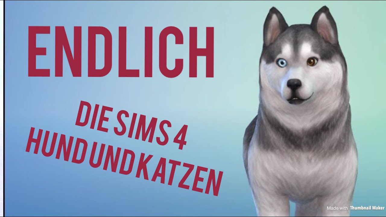 ENDLICH - DIE SIMS 4 HUNDE UND KATZEN - Let's Play The Sims 4 Cats and Dogs