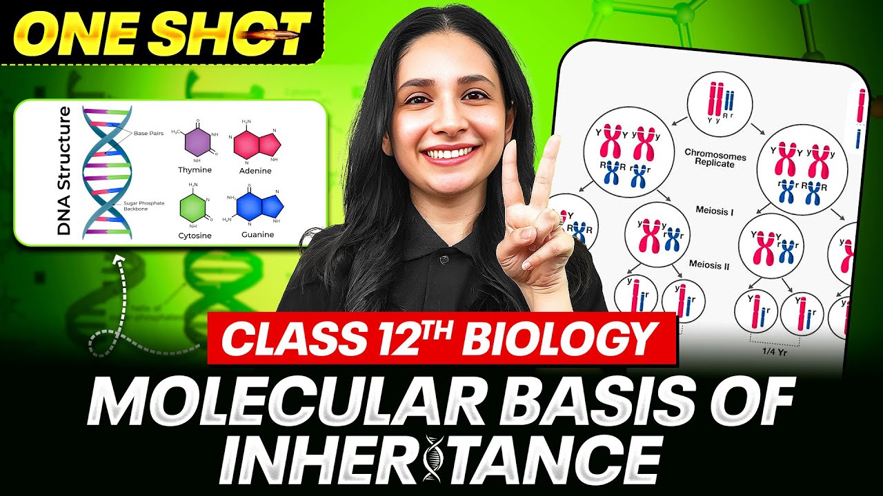 Molecular Basis of Inheritance in One Shot | All Concepts, Tricks & PYQs | PB NEET 2026 Series