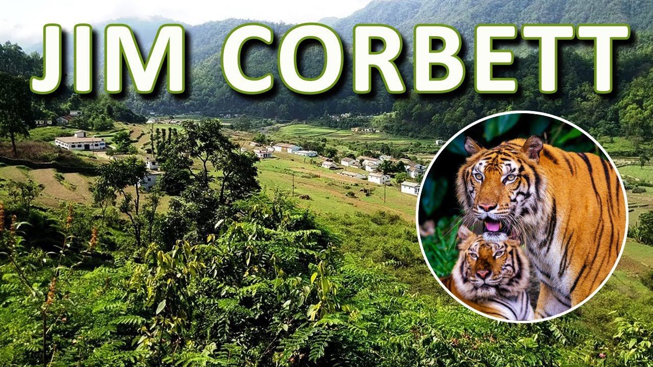 Travel to Jim Corbett National Park, Uttarakhand, India |Oldest and Most Prestigious National Park