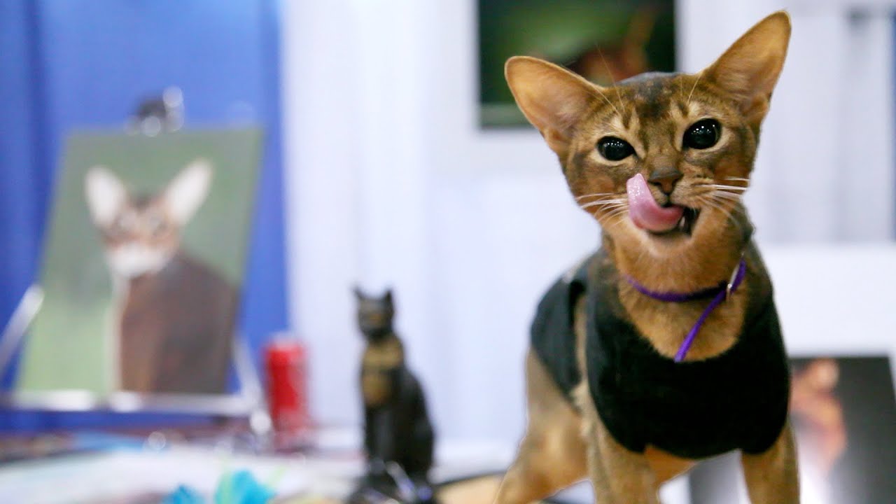 These Exotic Cats Cost Thousands Of Dollars &mdash; Here's Why