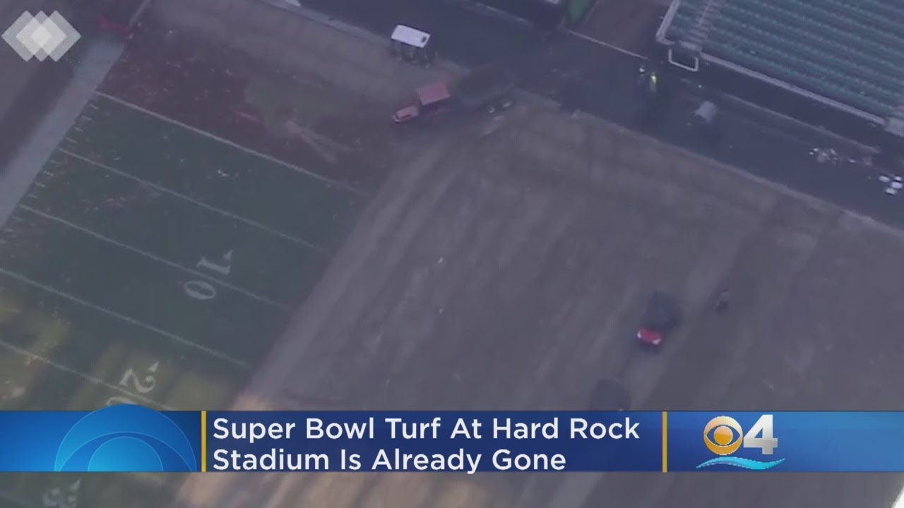 Super Bowl Turf At Hard Rock Stadium Is Gone Super Fast