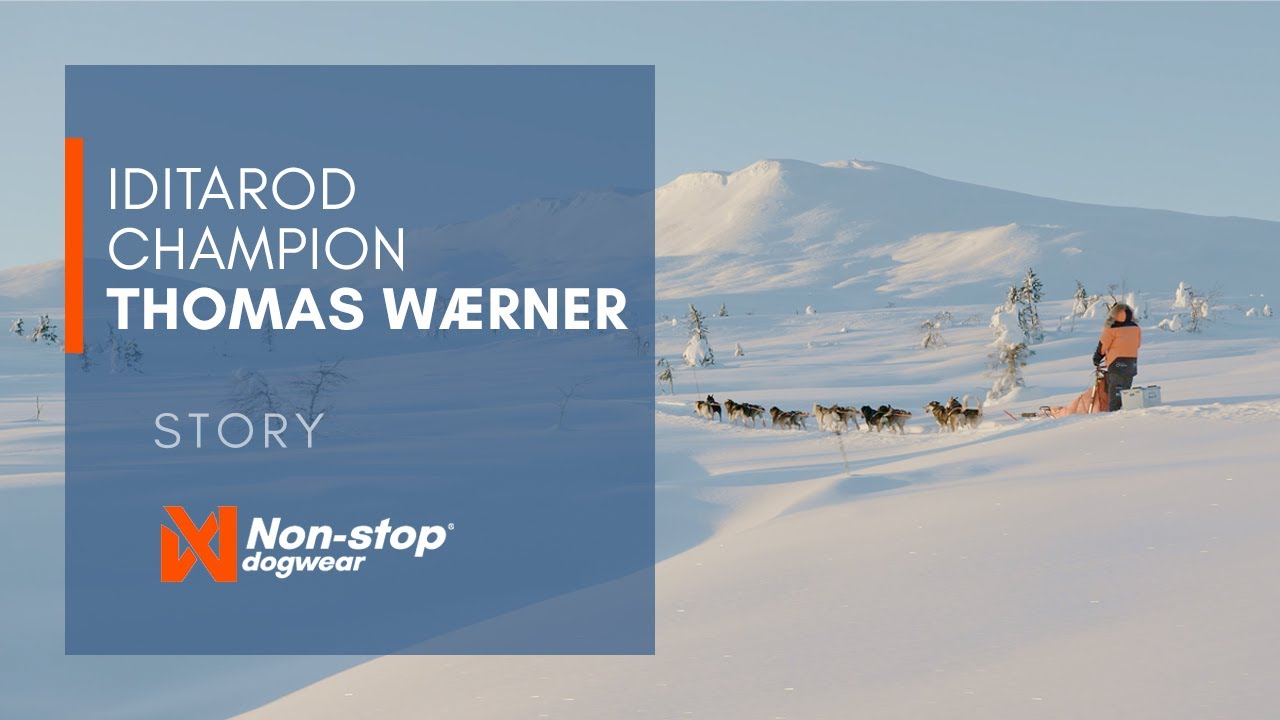 Athlete profile: Thomas Wærner, dog mushing