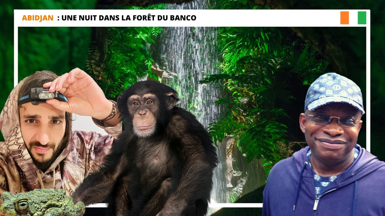 🇨🇮 Abidjan: Une nuit dans la forêt du BANCO 🌳
