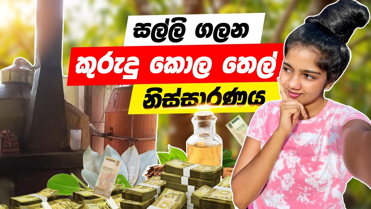තාත්තගේ ව්&zwj;යාපාරය💰 |  කුරුදු කොළ තෙල්: වතුවලින් ඔබේ ගෙදරට 🌿 | නිෂ්පාදන රහස් සහ සෞඛ්&zwj;ය ගුණ&rdquo;