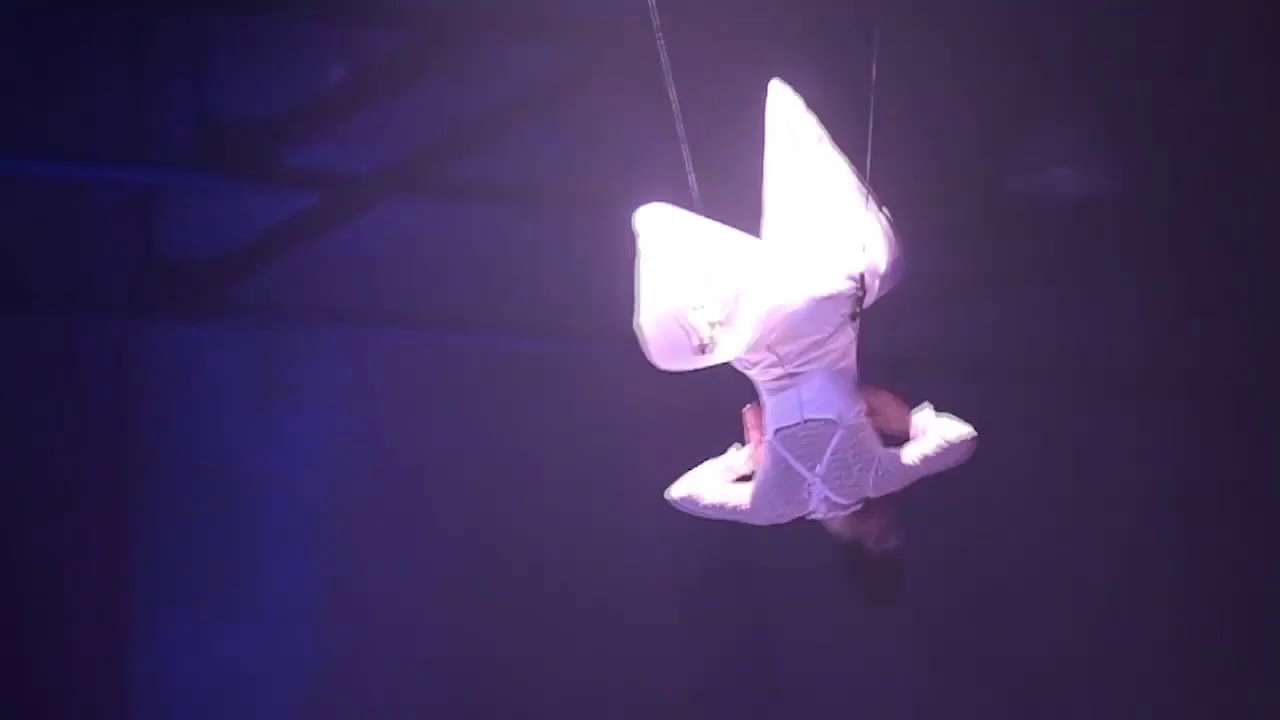 Venice carnival Memories 2014   Danza Aerea