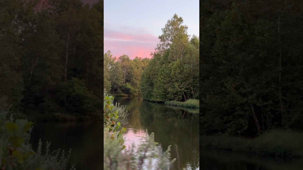 #summer #sunset#nature #wildlife #amazing#beautiful #iphone
