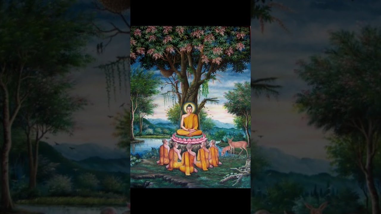 #4 The first sermon #buddhism #buddhist #buddha #first #sermon #shorts #religion #philosophy
