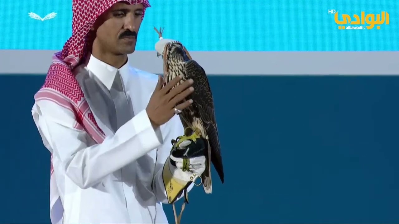مزاد طرح محلي بنادي الصقور السعودي | لعدد 2 فرخ شاهين |  بتاريخ 24-10-2023