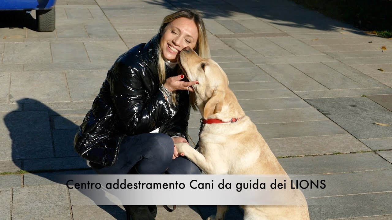 Cani da Guida per NON VEDENTI. Centro Addestramento Lions. 2 occhi per chi non vede. Milano&Dintorni