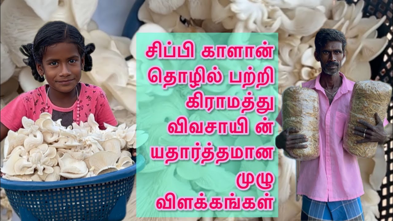 🍄வீட்டிலேயே காளான் வளர்ப்பது எப்படி? 🍄காளான் A to Z விவசாயின் விளக்கம்