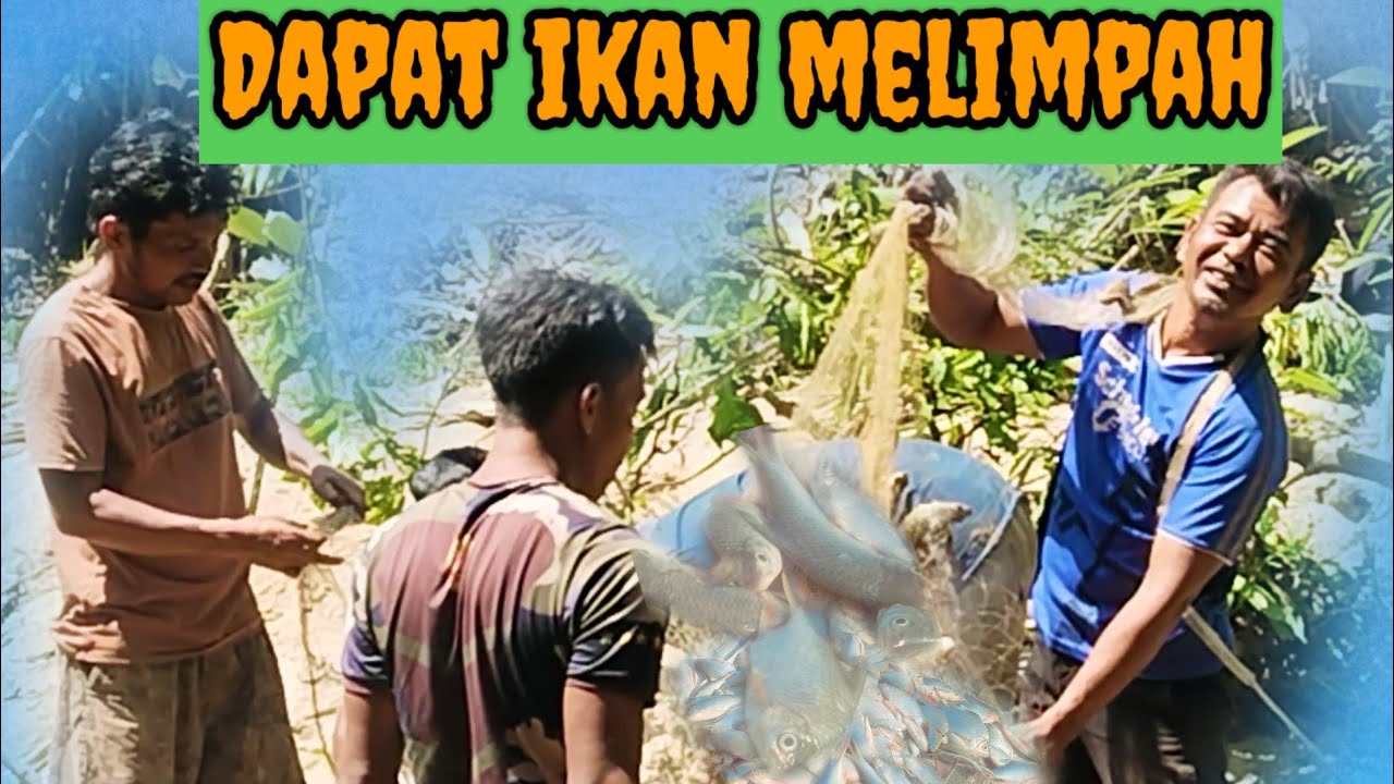 CARI IKAN DI HUTAN ACEH, IKANNYA MELIMPAH